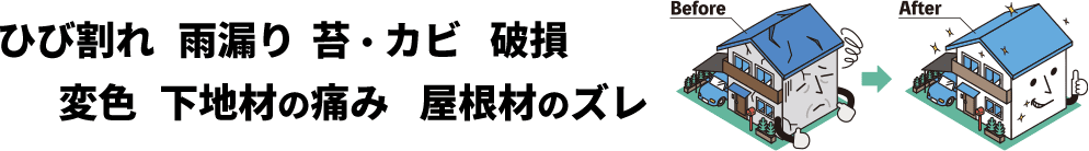 ひび割れ 雨漏り 苔・カビ 破損 変色 下地材の痛み 屋根材のズレ